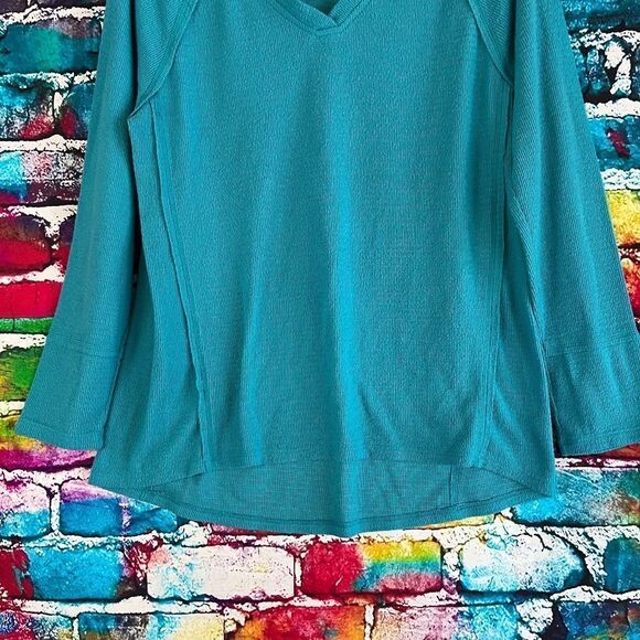Wildfox Sweatshirt Blue Haley Brushed Long Sleeve Tunic V Neck Lounge Small - Picture 6 of 6